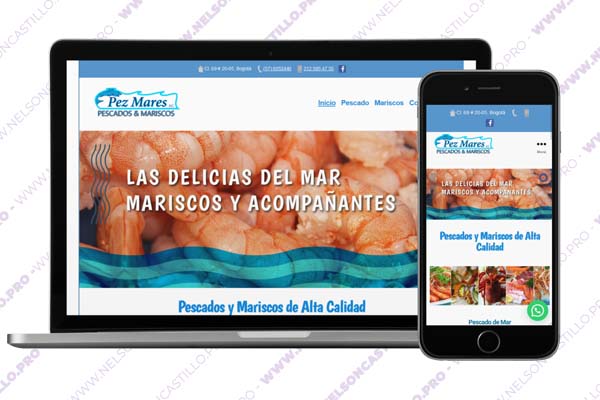 Empresa de Diseño de Páginas Web